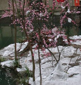 Dufu thatched cottage