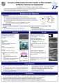 2011-Poster-PBIID-Microcraters