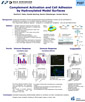 2007-SIB-Poster