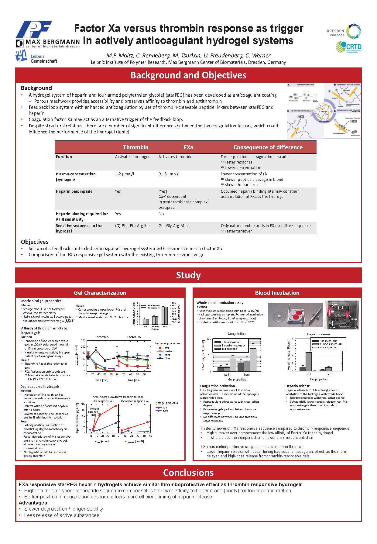 FXa-responsive Hydrogels